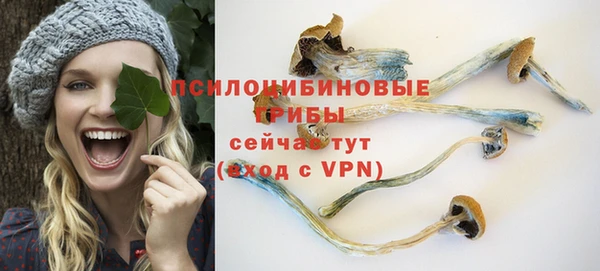 гашик Гусев