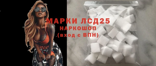 гашик Гусев