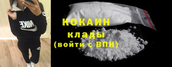 гашик Гусев