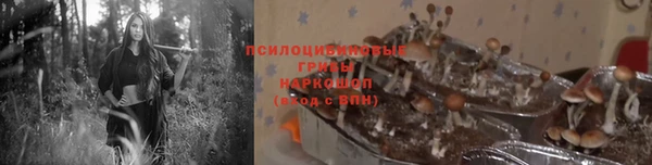 гашишное масло Гусиноозёрск