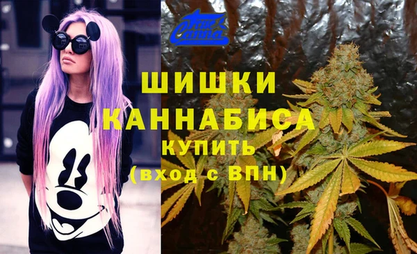 гашишное масло Гусиноозёрск