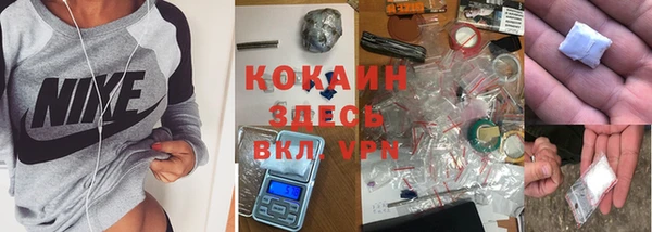 гашик Гусев