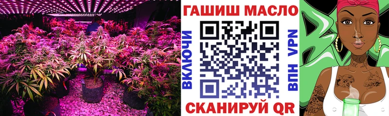 ТГК концентрат  Сегежа 