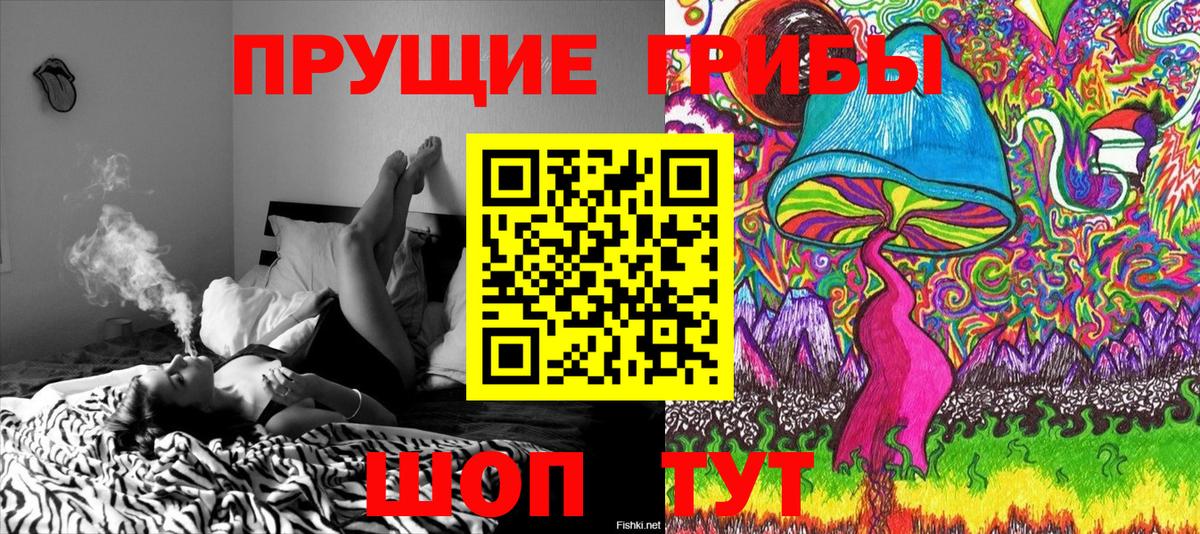 Псилоцибиновые грибы Cubensis  Галлюциногенные грибы Psilocybe  как найти закладки  Вход с VPN  Сегежа 