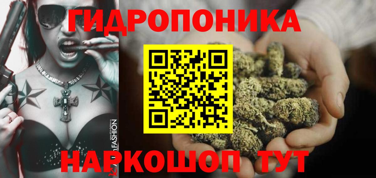Бошки марихуана конопля Сегежа